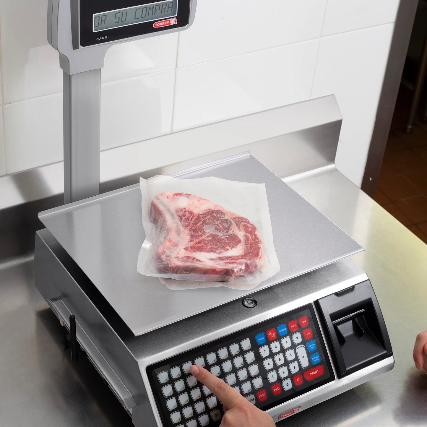 Báscula Digital Etiquetadora Torrey WLabel40 40kg Precisión 10g Etiqueta o Ticket