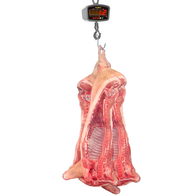 Báscula Colgante Rhino Bac 1t 1 Tonelada de capacidad 500g de precisión