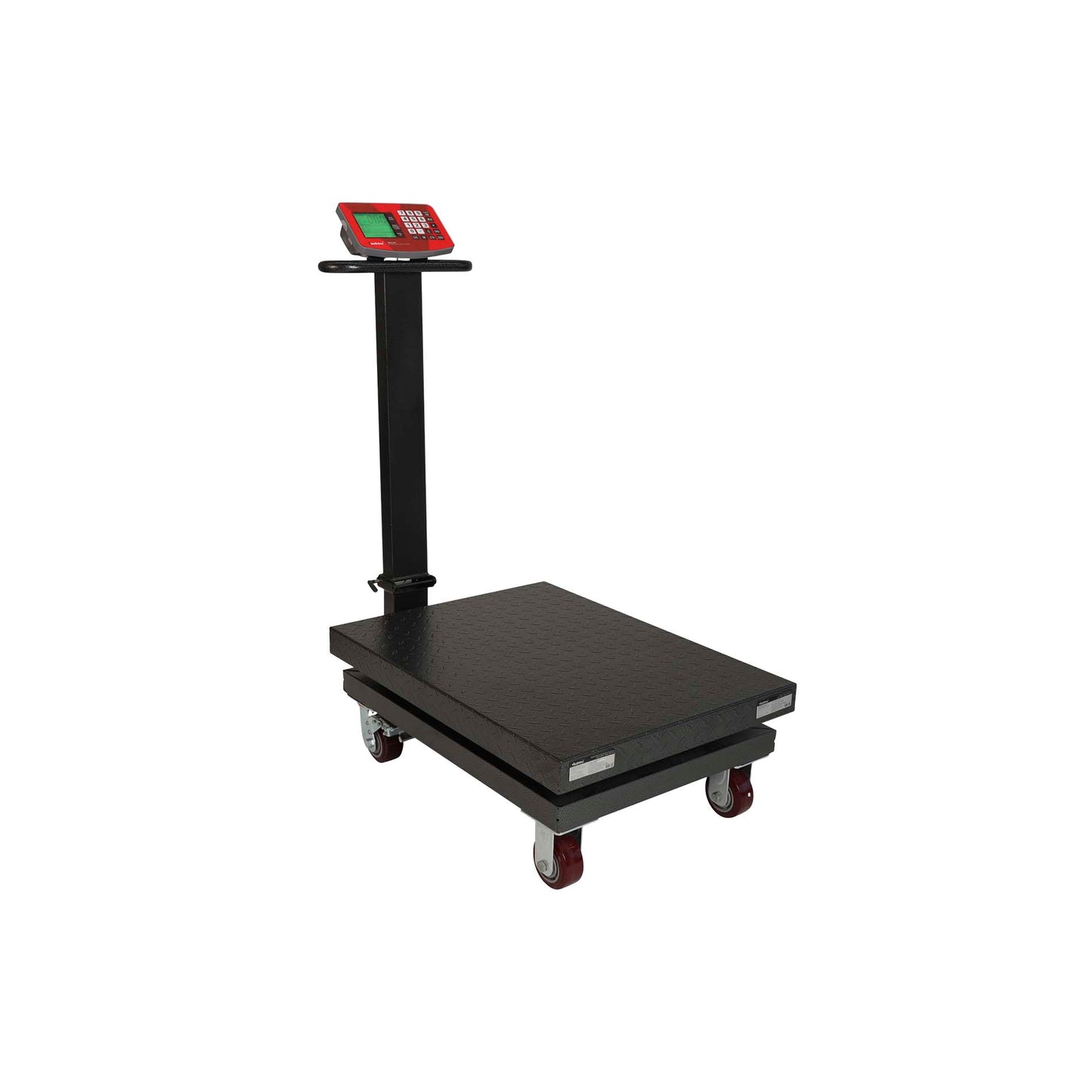 Báscula Digital Plataforma Plegable 800kg Vinson Baple800 Precisión de 500 gramos Batería recargable