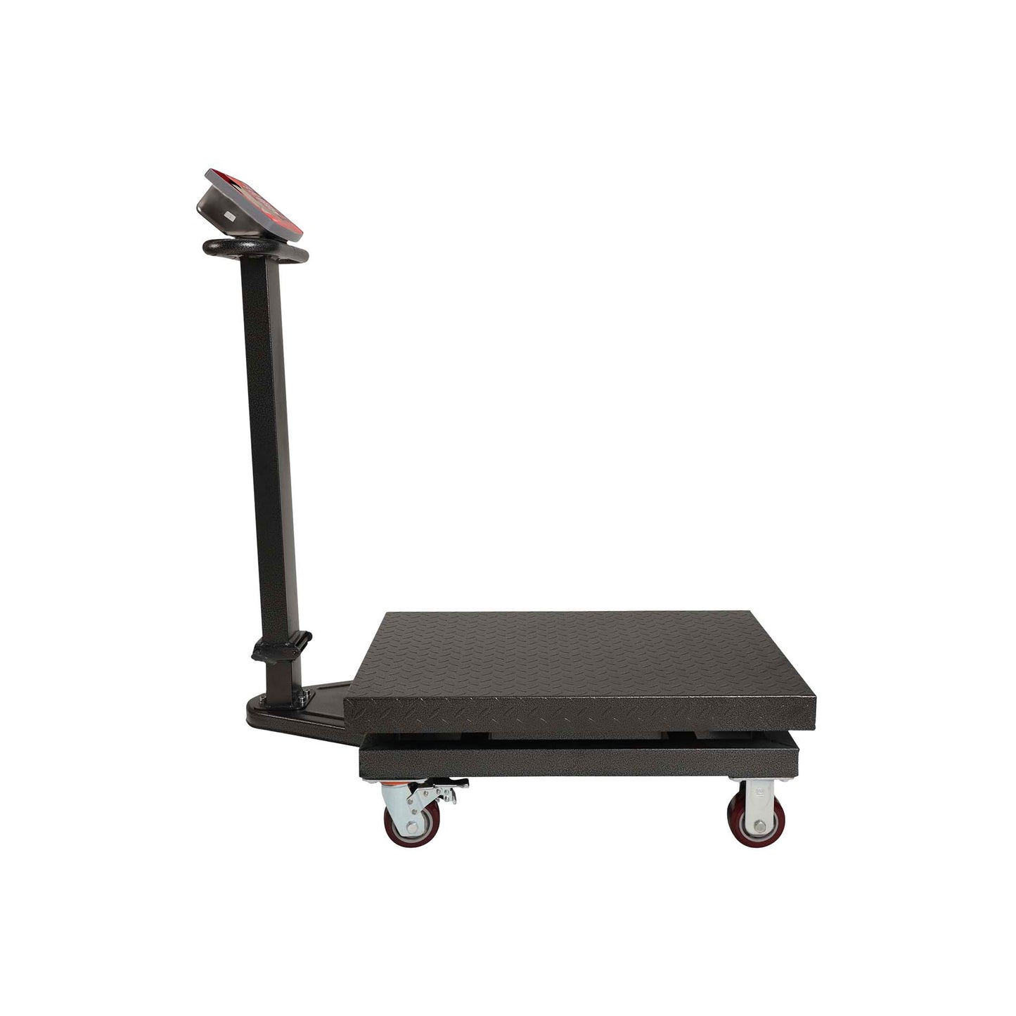 Báscula Digital Plataforma Plegable 800kg Vinson Baple800 Precisión de 500 gramos Batería recargable