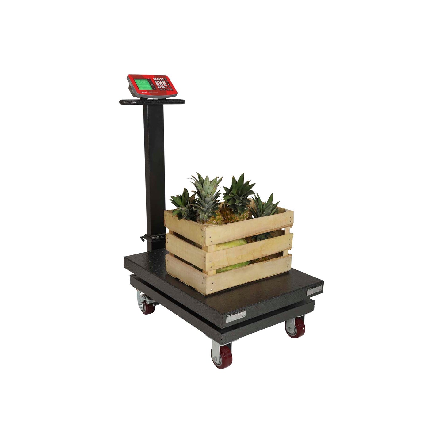 Báscula Digital Plataforma Plegable 800kg Vinson Baple800 Precisión de 500 gramos Batería recargable