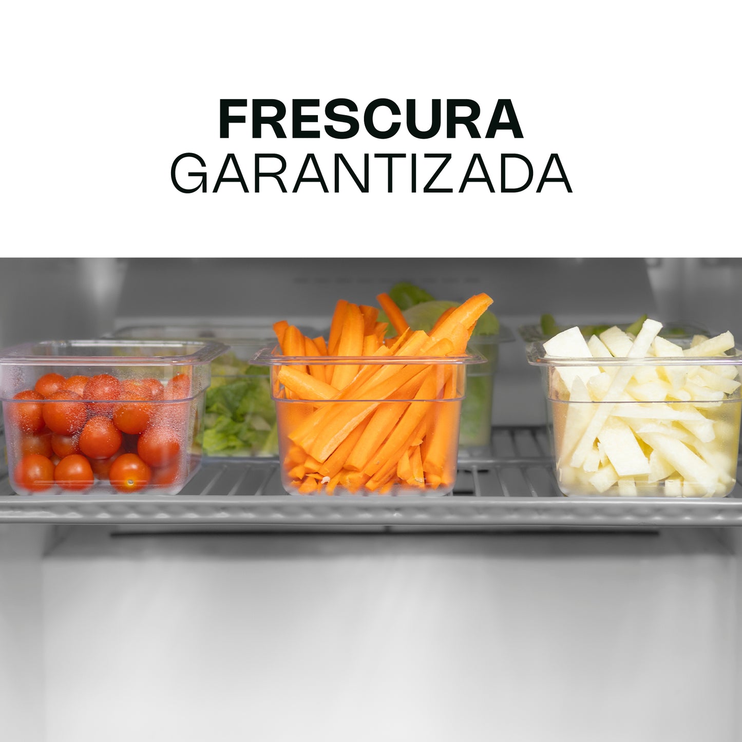 Mesa Refrigerada Bajo Barra Rhino Merbaj48 1/4hp 0 A 4°c