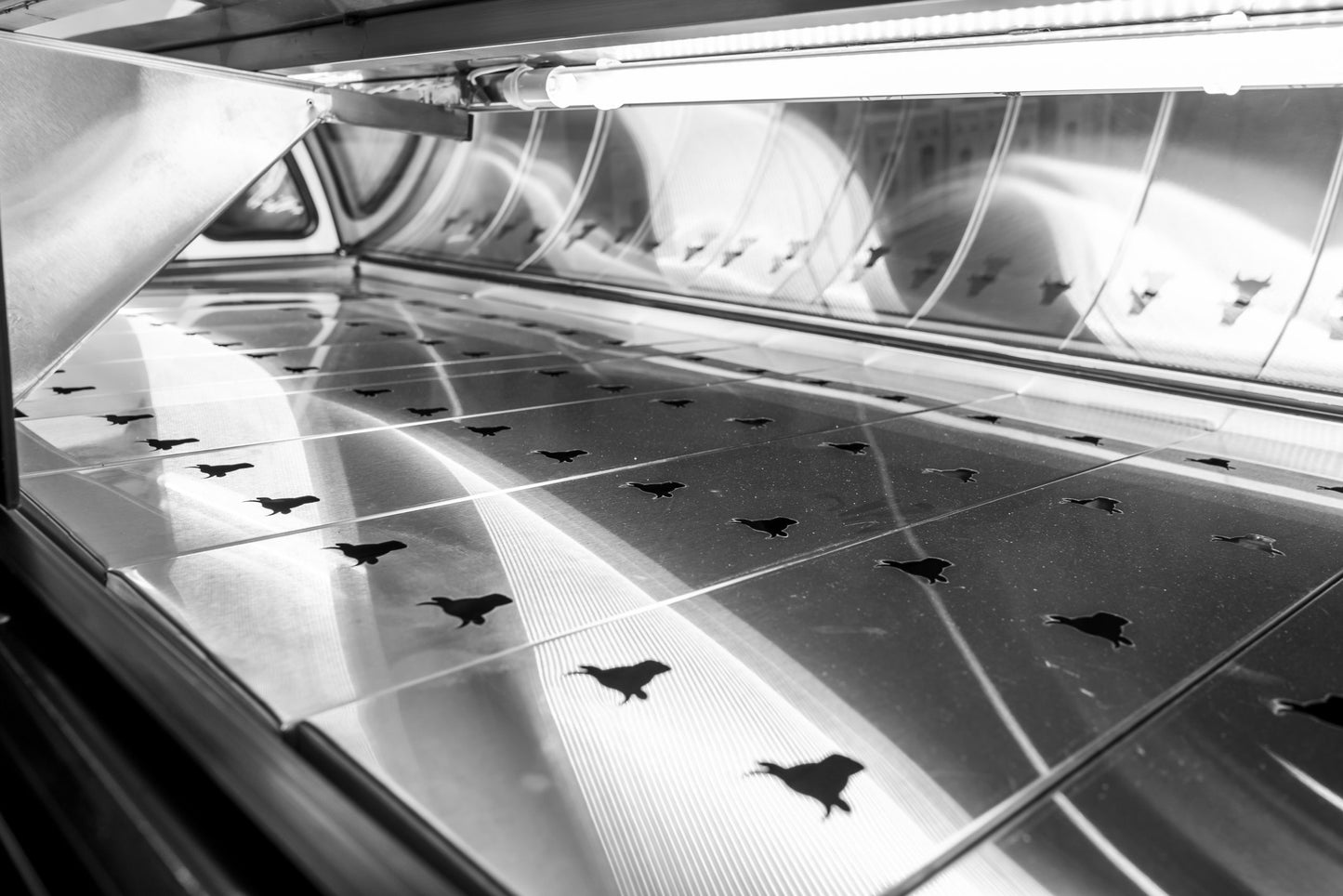 Masser Vitrina Carnicera RHNVCA2500AIX Frente 2.5 metros -1°C a 5°C