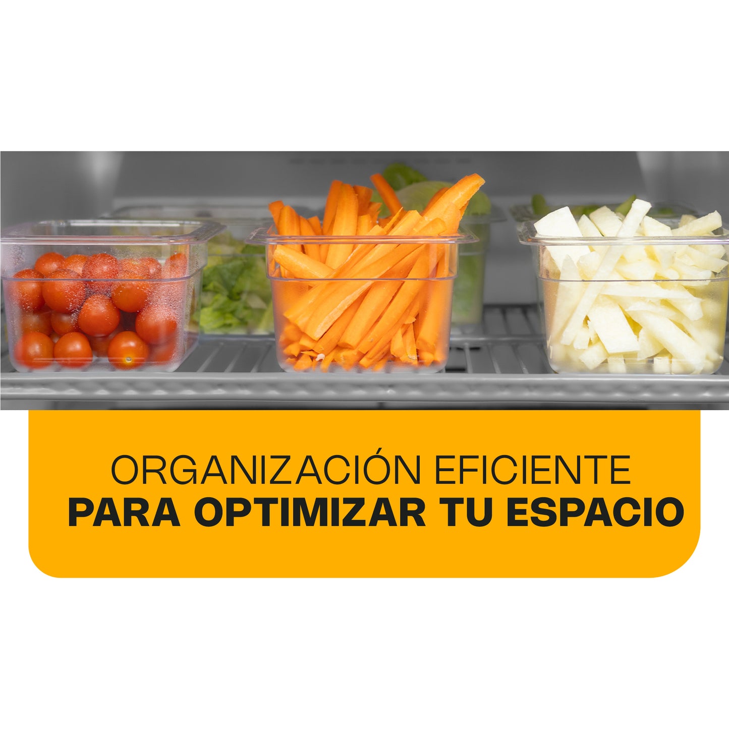 Refrigerador Vertical Rhino Revesol23 0°c A 4°c 23 Pies