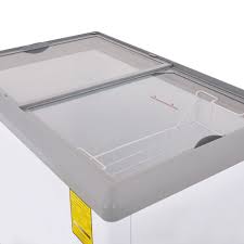 Congelador Comercial Horizontal Paletero Torrey CHC-110PR