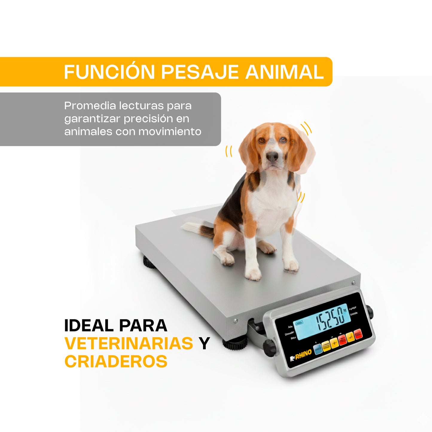 Bascula Digital Rhino Plataforma Paquetería Bapaque-150kg