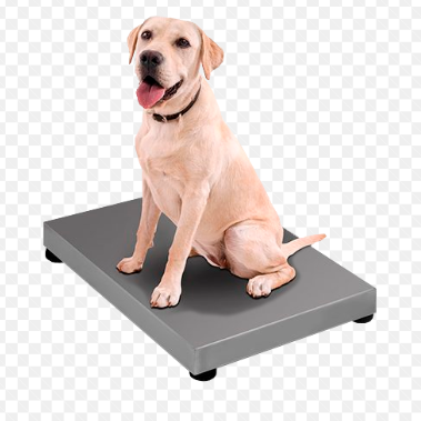 Bascula Plataforma 200kg Marca Rhino Bavet200 Iqy