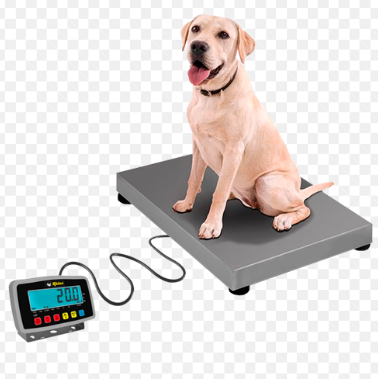 Bascula Plataforma 200kg Marca Rhino Bavet200 Iqy